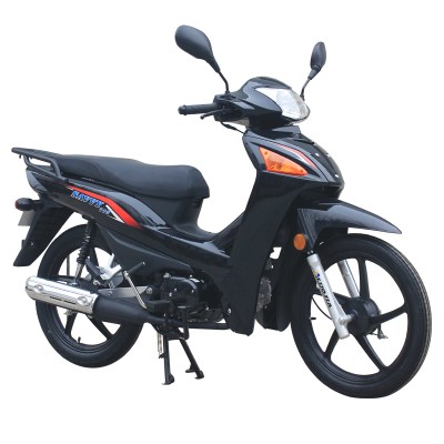 High Quality 110cc Cub Gasoline Motorcycle African Market LJ110-18