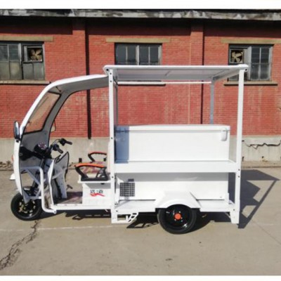 Electric Freezer Tricycle refrigerator Africa Market South America Markert